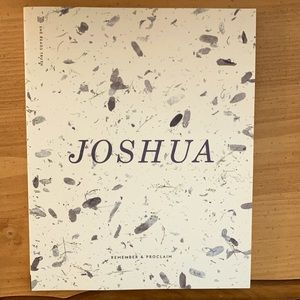 She Reads Truth Study Guide: Joshua